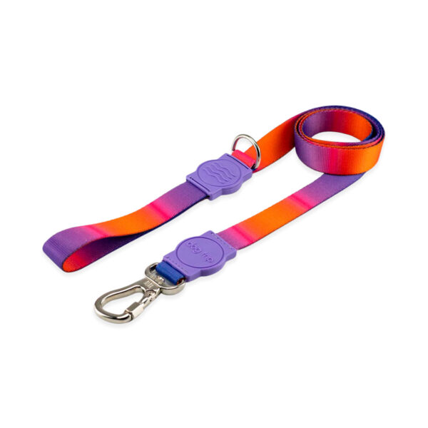 Guia Padrão para Cachorros