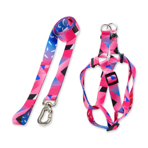 Kit Guia com Peitoral Americano para Cachorro Basic Pet