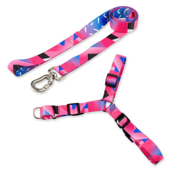 Kit Guia com Peitoral Antipuxão para Cachorro Basic Pet