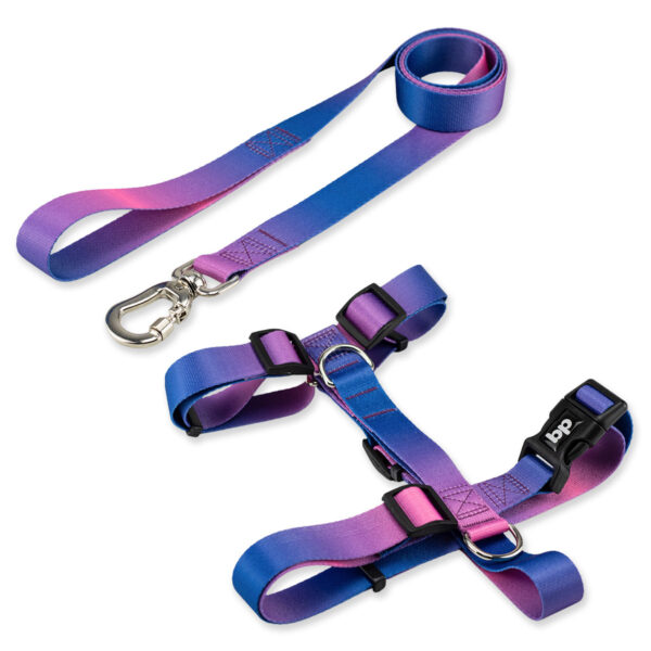 Kit Guia com Peitoral H para Cachorro Basic Pet