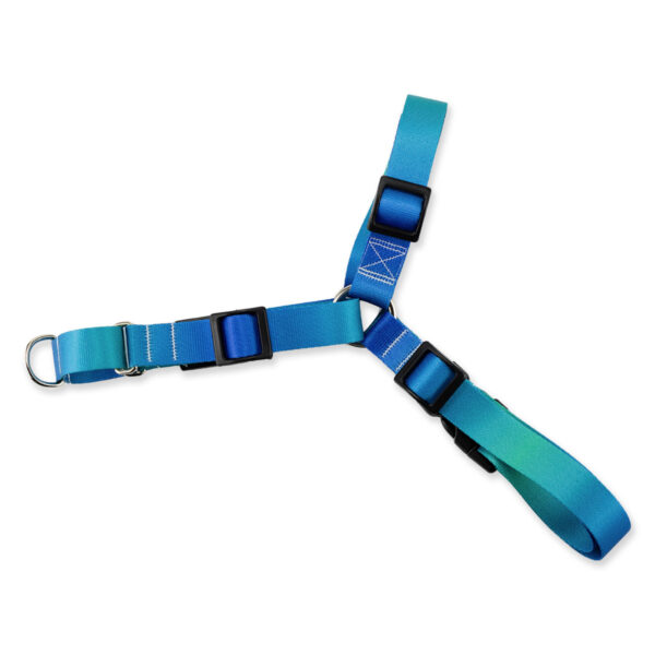 Peitoral Antipuxão para Cachorros Basic Pet