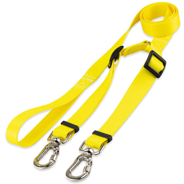 Guia Dupla para Cachorros Basic Pet