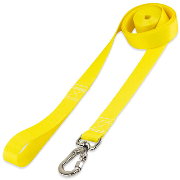 Guia 2 Metros para Cachorros Basic Pet