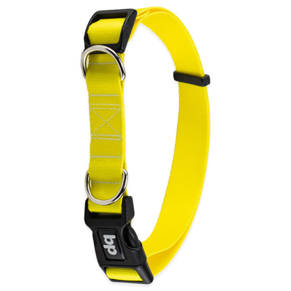 Coleira para Cachorros Basic Pet