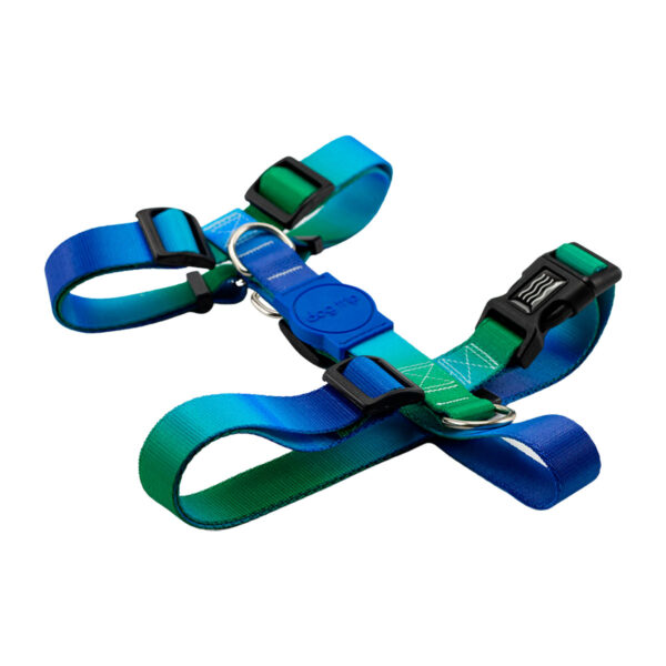 Peitoral H Smart para Cachorro Dog Trip Brasil