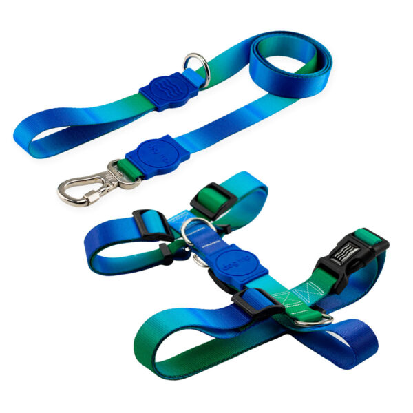 Kit Guia com Peitoral H Smart para Cachorro Dog Trip Brasil