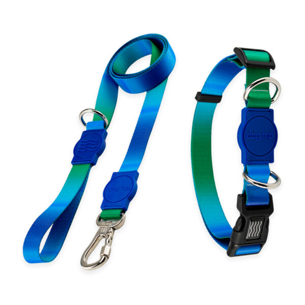 Kit Guia com Coleira para Cachorro Dog Trip Brasil