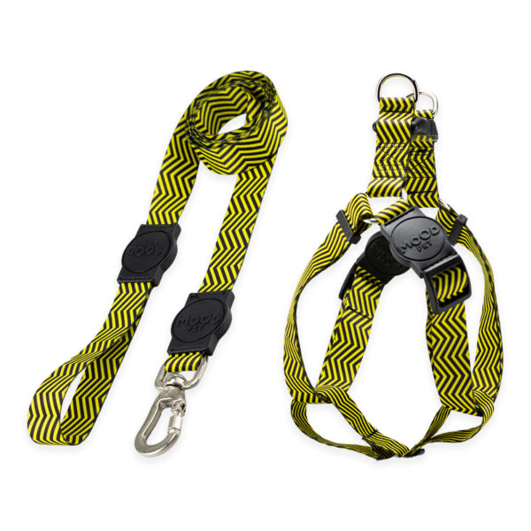 Kit Guia com Peitoral Americano para Cachorro Mood Pet