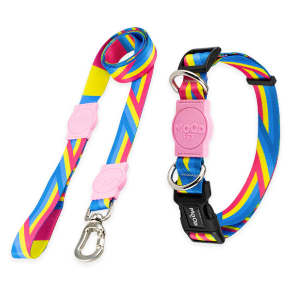 Kit Guia com Coleira para Cachorro Mood Pet