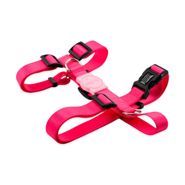 Peitoral H para Cachorro