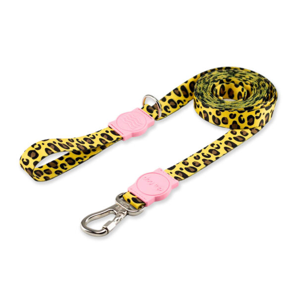 Guia 5 Metros para Cachorro