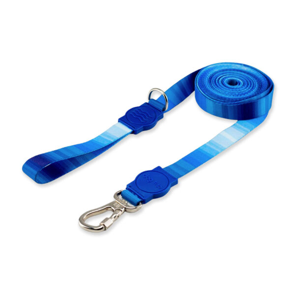 Guia 10 Metros para Cachorro