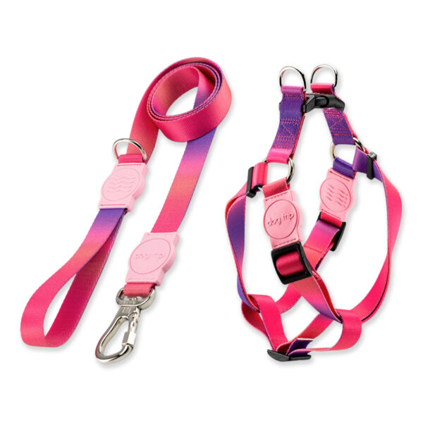 Kit Guia com Peitoral Americano para Cachorro Dog Trip Brasil