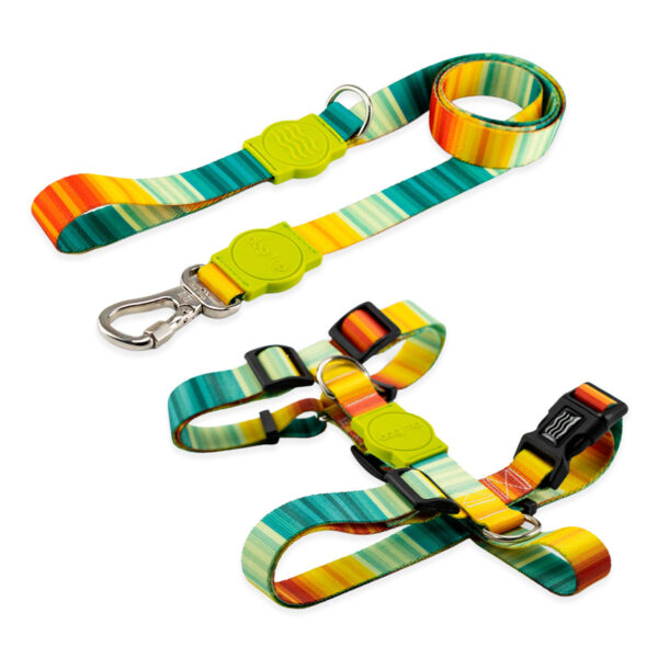 Kit Guia com Peitoral H para Cachorro Dog Trip Brasil